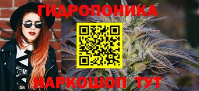шишки Пенза