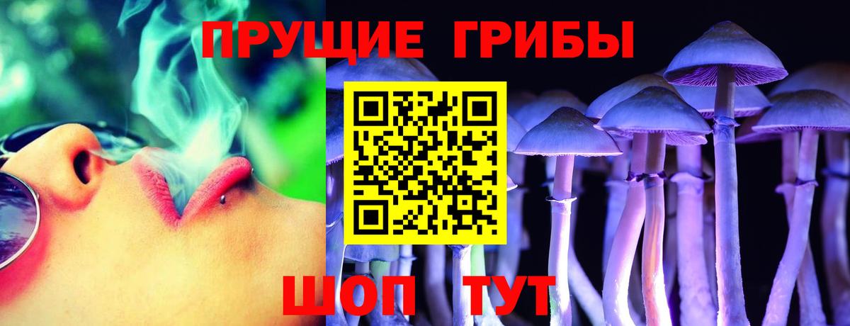 Галлюциногенные грибы Psilocybe  Псилоцибиновые грибы MAGIC MUSHROOMS  Вход с VPN  Строитель 